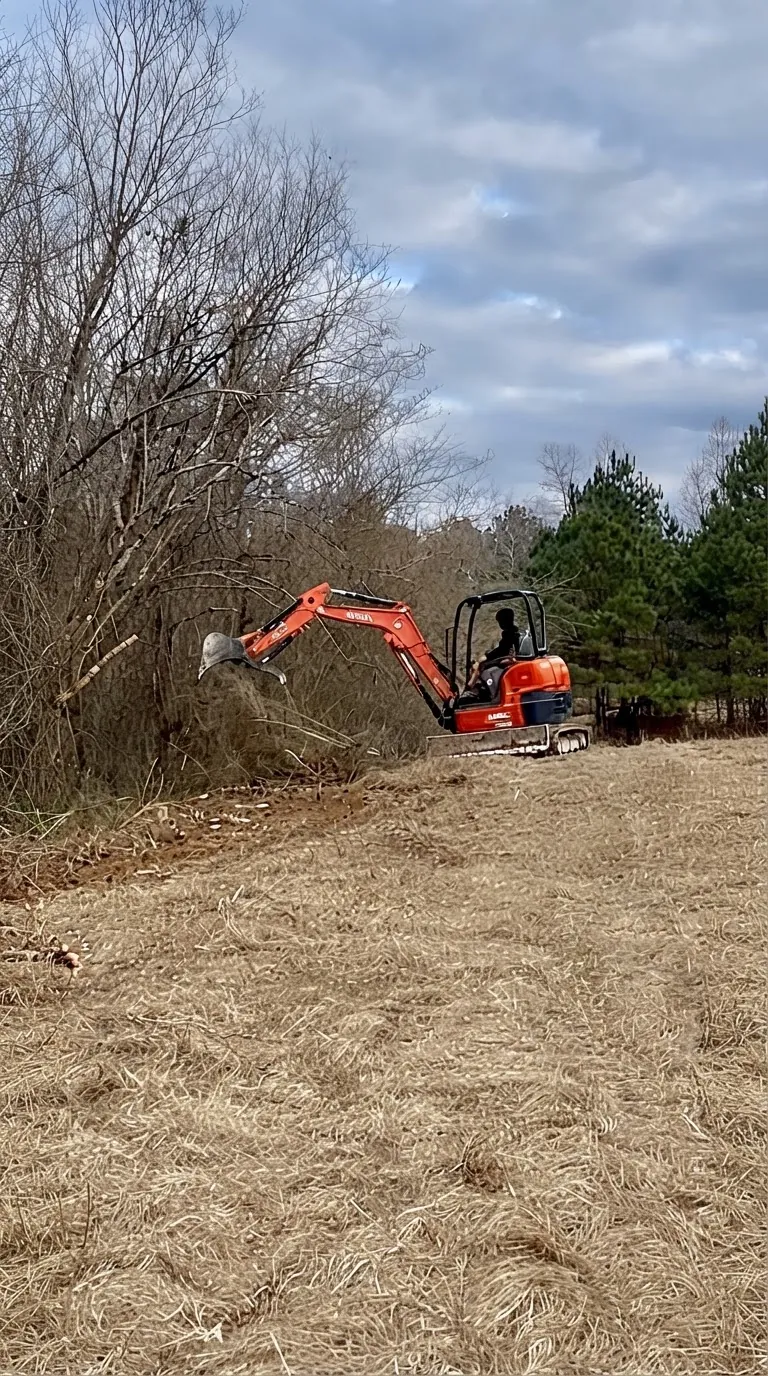 Excavator clearing brush and small trees from an overgrown field