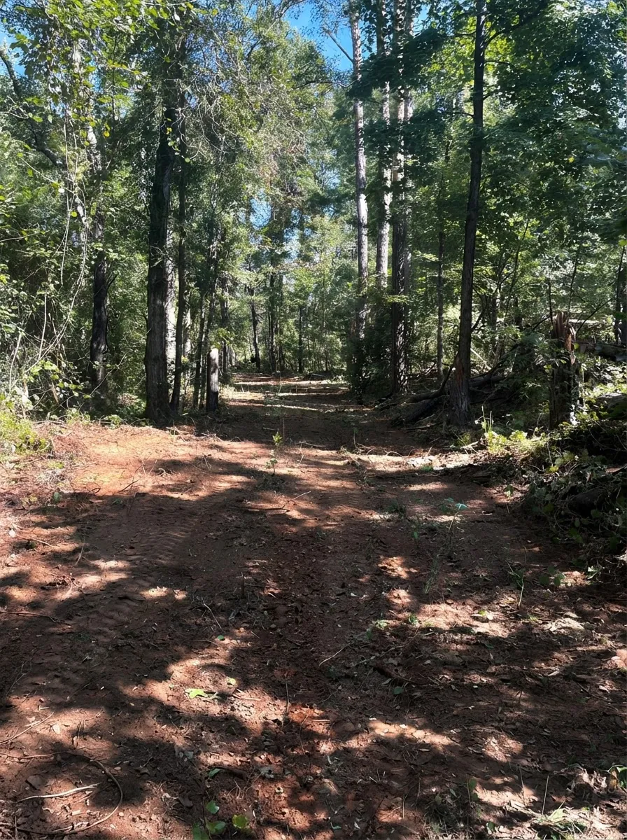 The same wooded area cleared with a fresh dirt path cut through